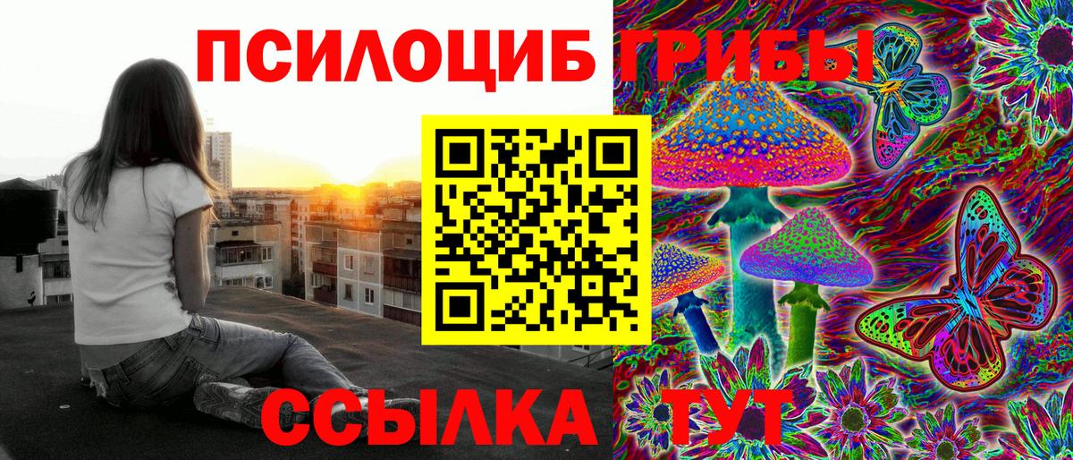 Псилоцибиновые грибы Cubensis Кубинка