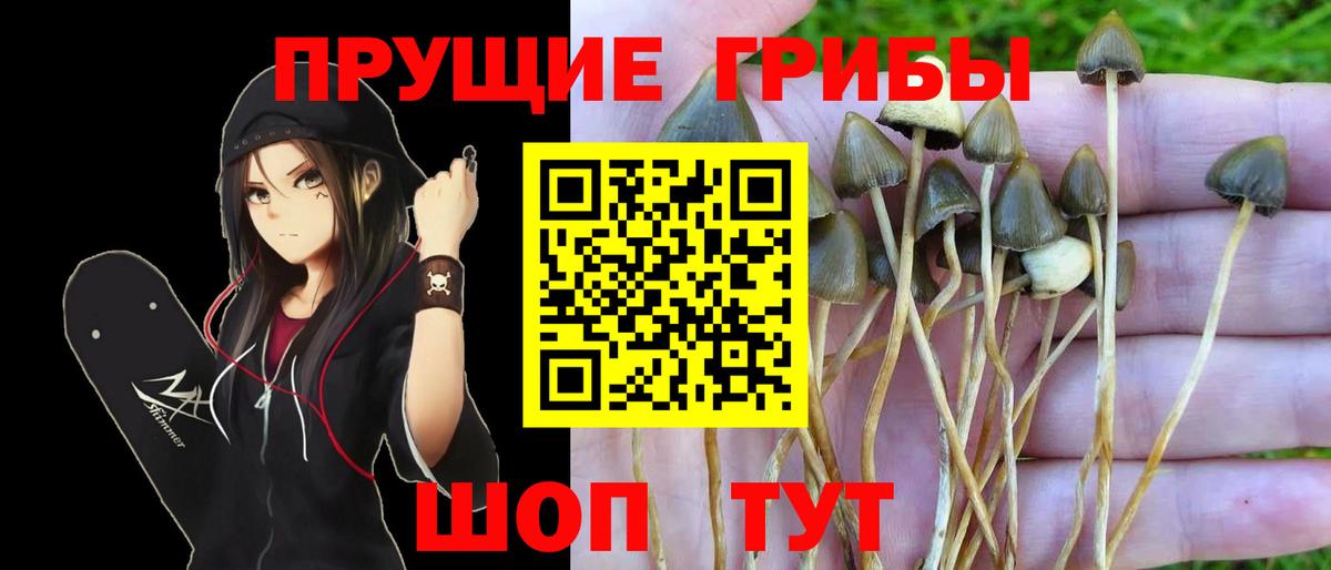Кубинка  Галлюциногенные грибы Psilocybine cubensis  Вход с VPN 
